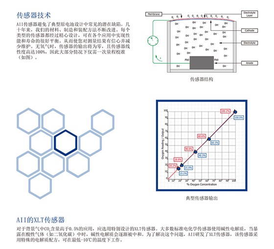 便攜式氧氣分析儀