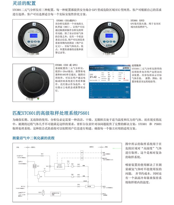 XTC601 純度分析儀