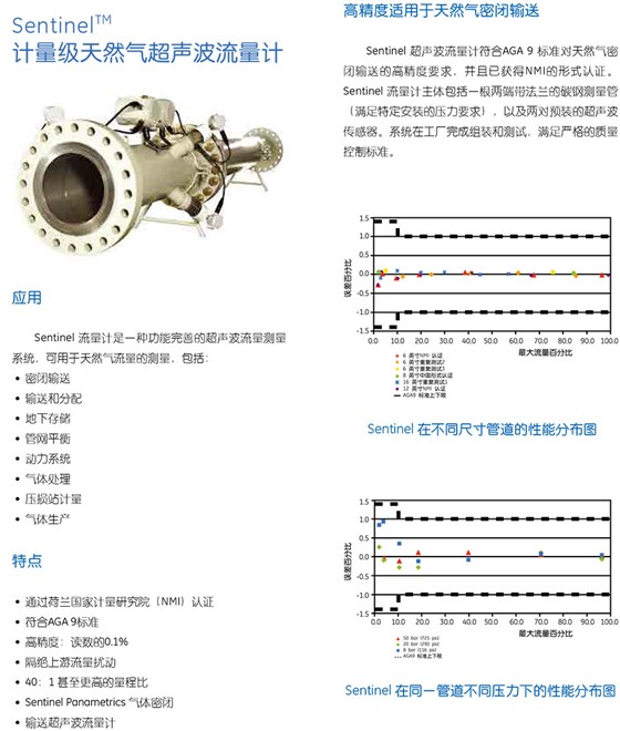 SentinelTM 計(jì)量級(jí)天然氣超聲波流量計(jì)