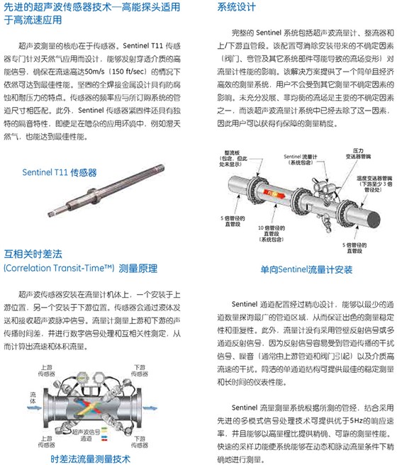 SentinelTM 計(jì)量級(jí)天然氣超聲波流量計(jì)