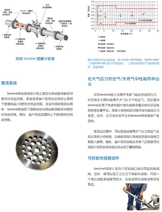 SentinelTM 計(jì)量級(jí)天然氣超聲波流量計(jì)