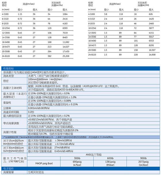 SentinelTM 計(jì)量級(jí)天然氣超聲波流量計(jì)